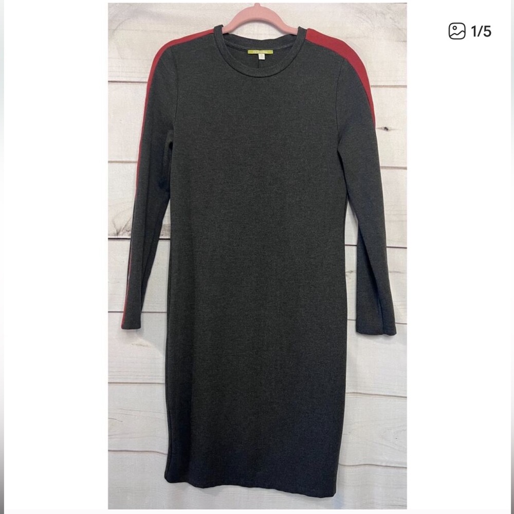 Gianni Bini Charcoal Dress with Red Sleeves